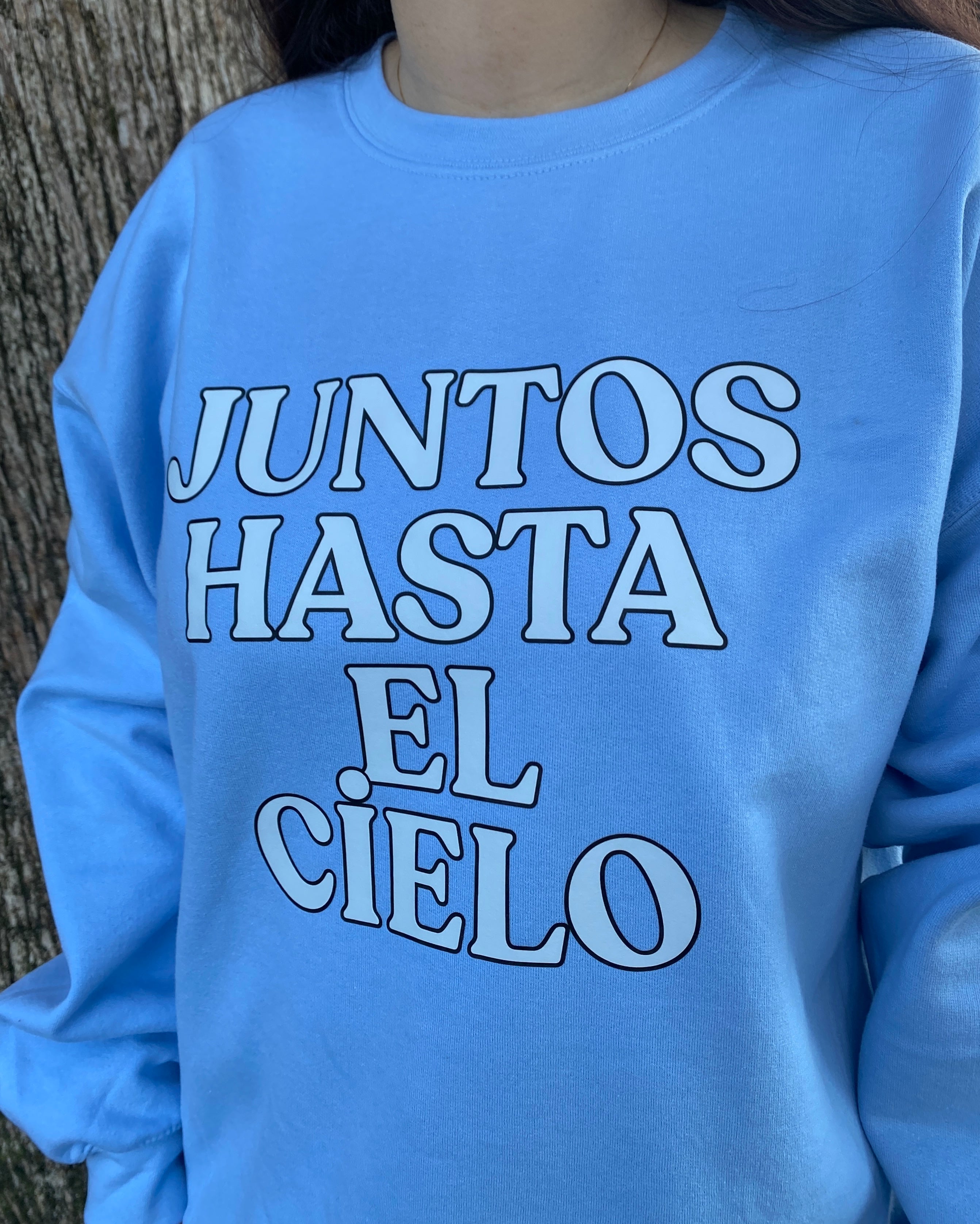 Sweater Juntos Hasta el Cielo