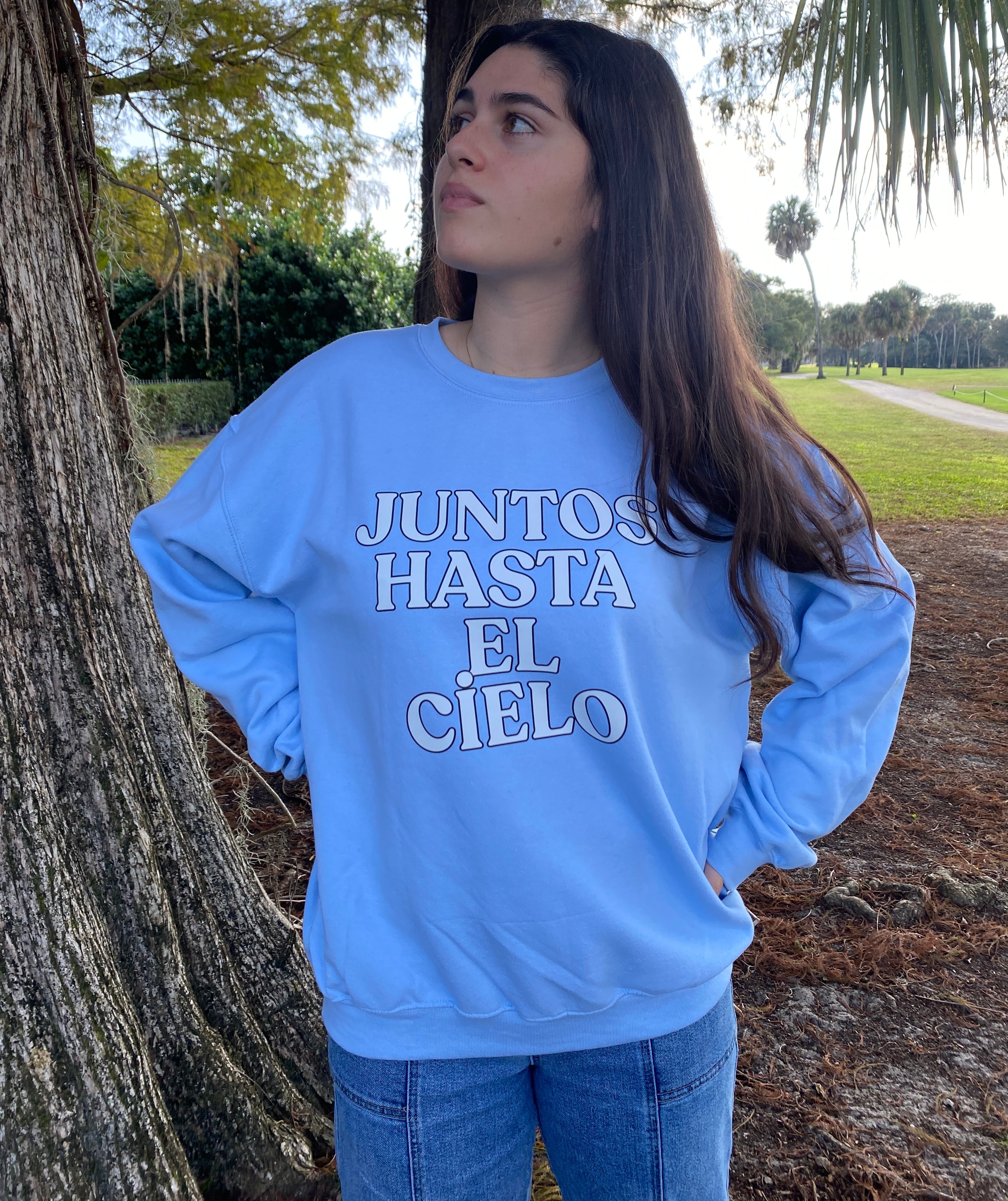 Sweater Juntos Hasta el Cielo