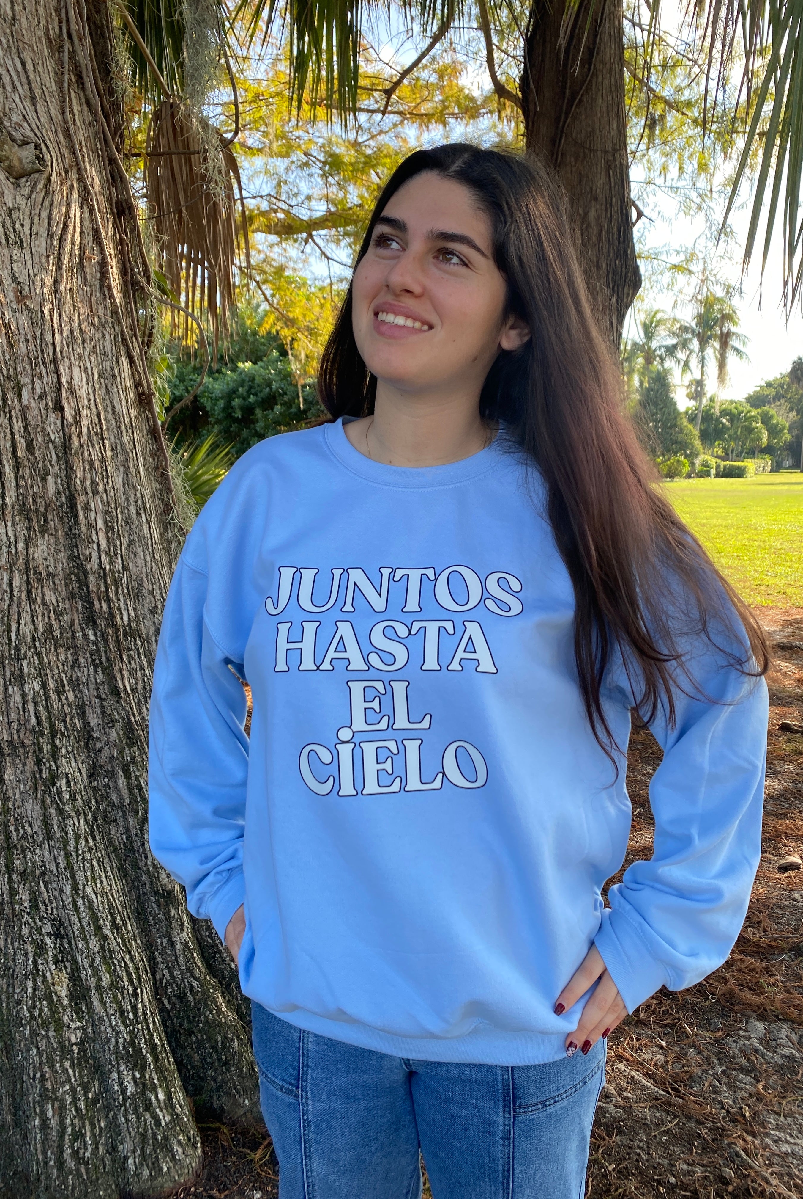 Sweater Juntos Hasta el Cielo